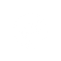 MotivisionTM